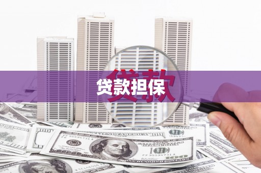 西城贷款担保