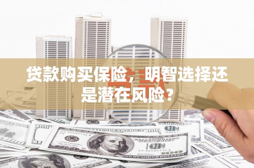 西城贷款购买保险，明智选择还是潜在风险？