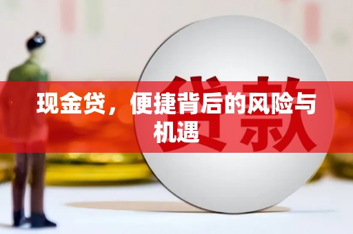 西城现金贷，便捷背后的风险与机遇