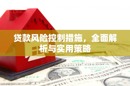 西城贷款风险控制措施，全面解析与实用策略