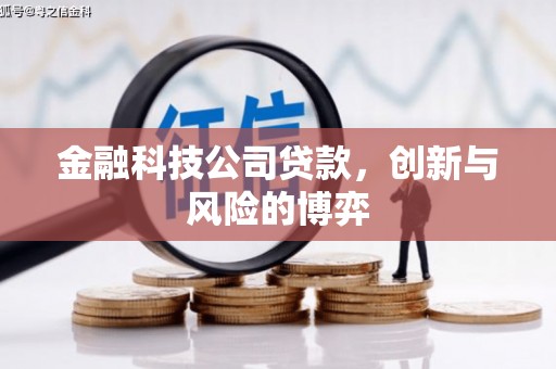 西城金融科技公司贷款，创新与风险的博弈