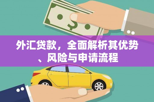 西城外汇贷款，全面解析其优势、风险与申请流程