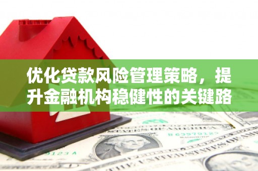 西城优化贷款风险管理策略，提升金融机构稳健性的关键路径
