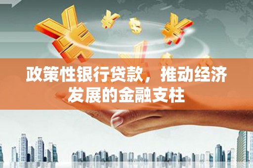 西城政策性银行贷款，推动经济发展的金融支柱