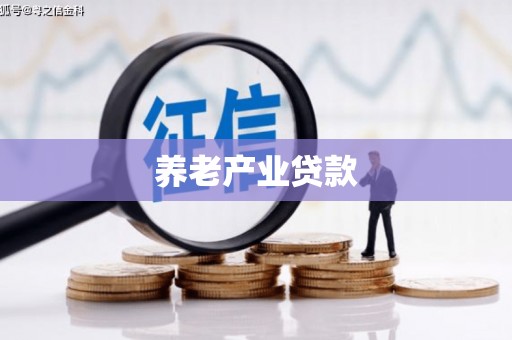 西城养老产业贷款