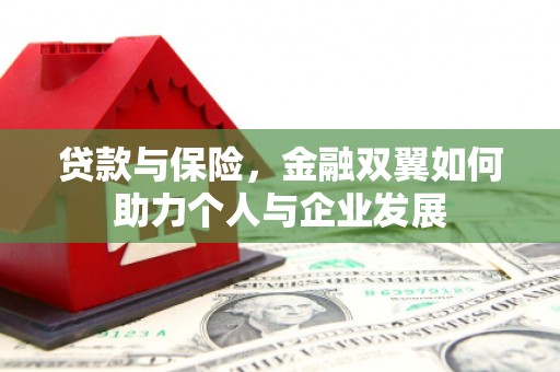 西城贷款与保险，金融双翼如何助力个人与企业发展