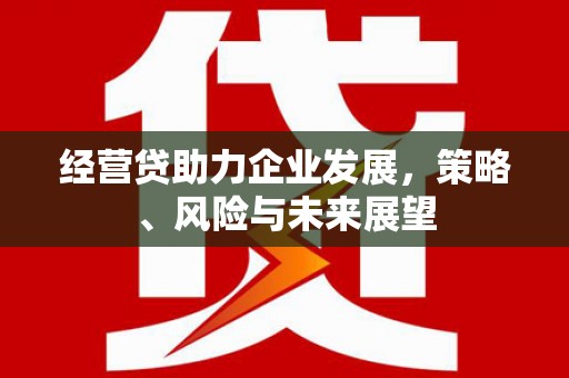 西城经营贷助力企业发展，策略、风险与未来展望