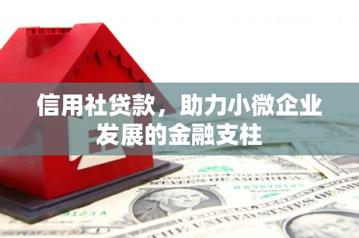 西城信用社贷款，助力小微企业发展的金融支柱