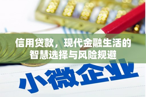 西城信用贷款，现代金融生活的智慧选择与风险规避