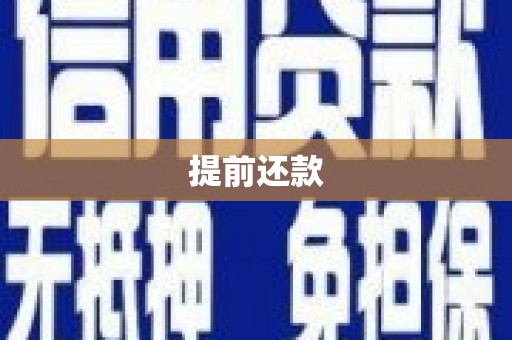 西城提前还款