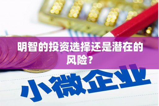 西城明智的投资选择还是潜在的风险？