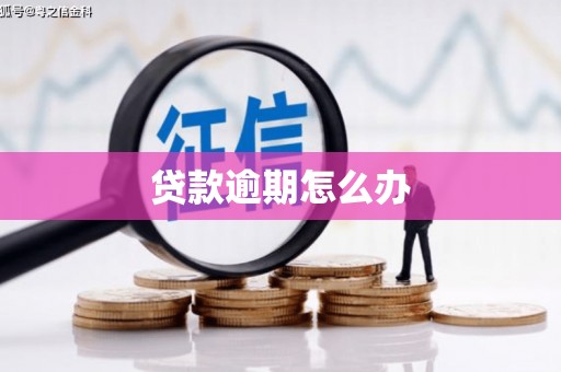 西城贷款逾期怎么办