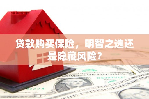 西城贷款购买保险，明智之选还是隐藏风险？