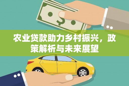 西城农业贷款助力乡村振兴，政策解析与未来展望