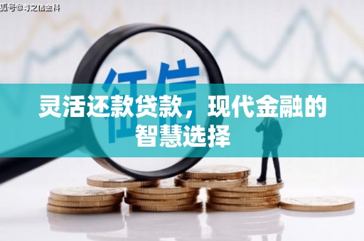 西城灵活还款贷款，现代金融的智慧选择