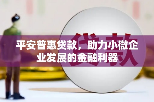 西城平安普惠贷款，助力小微企业发展的金融利器