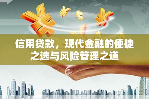 西城信用贷款，现代金融的便捷之选与风险管理之道