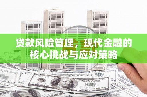 西城贷款风险管理，现代金融的核心挑战与应对策略
