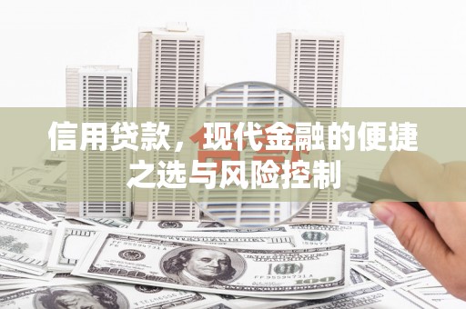 西城信用贷款，现代金融的便捷之选与风险控制