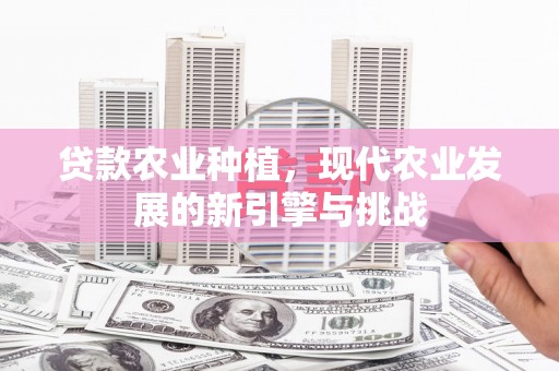 西城贷款农业种植，现代农业发展的新引擎与挑战