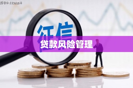 西城贷款风险管理