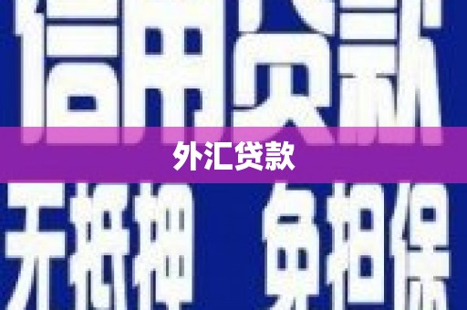 西城外汇贷款