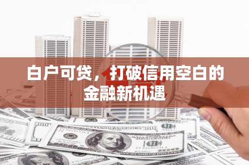 西城白户可贷，打破信用空白的金融新机遇
