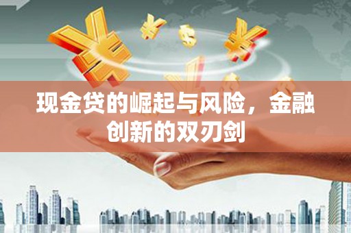西城现金贷的崛起与风险，金融创新的双刃剑