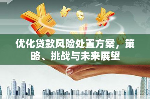 西城优化贷款风险处置方案，策略、挑战与未来展望
