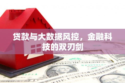 西城贷款与大数据风控，金融科技的双刃剑