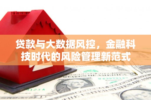 西城贷款与大数据风控，金融科技时代的风险管理新范式