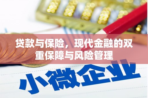 西城贷款与保险，现代金融的双重保障与风险管理