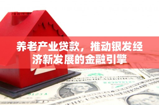 西城养老产业贷款，推动银发经济新发展的金融引擎