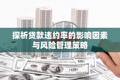 西城探析贷款违约率的影响因素与风险管理策略