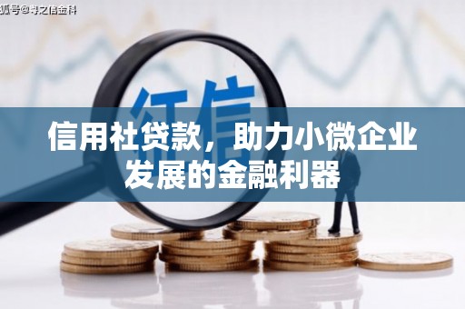 西城信用社贷款，助力小微企业发展的金融利器