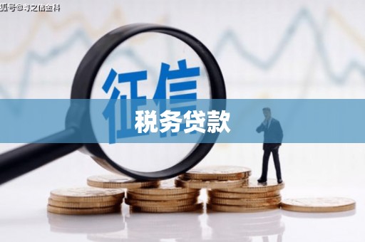 西城税务贷款