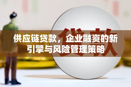 西城供应链贷款，企业融资的新引擎与风险管理策略