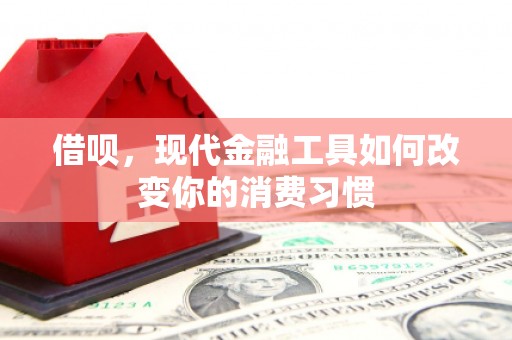 西城借呗，现代金融工具如何改变你的消费习惯
