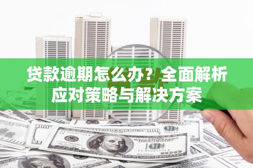 西城贷款逾期怎么办？全面解析应对策略与解决方案