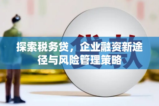 西城探索税务贷，企业融资新途径与风险管理策略