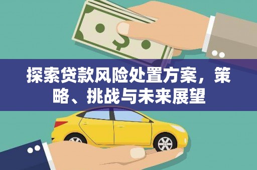 西城探索贷款风险处置方案，策略、挑战与未来展望