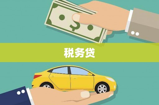 西城税务贷