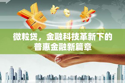 西城微粒贷，金融科技革新下的普惠金融新篇章