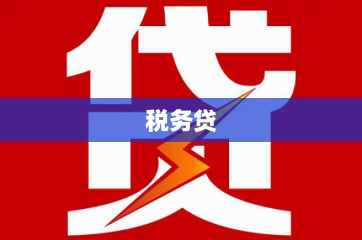 西城税务贷