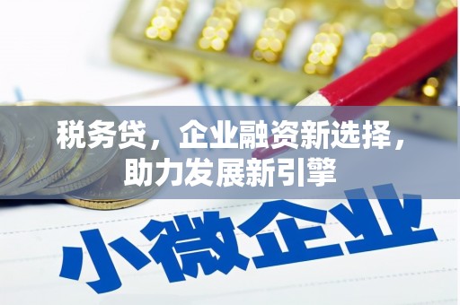西城税务贷，企业融资新选择，助力发展新引擎