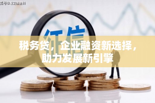 西城税务贷，企业融资新选择，助力发展新引擎
