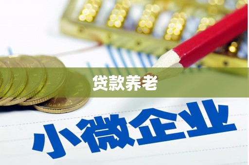 西城贷款养老