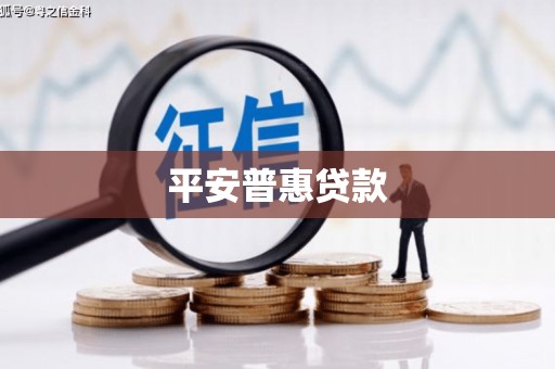 西城平安普惠贷款
