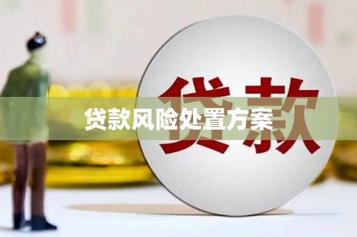 西城贷款风险处置方案