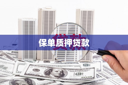 西城保单质押贷款